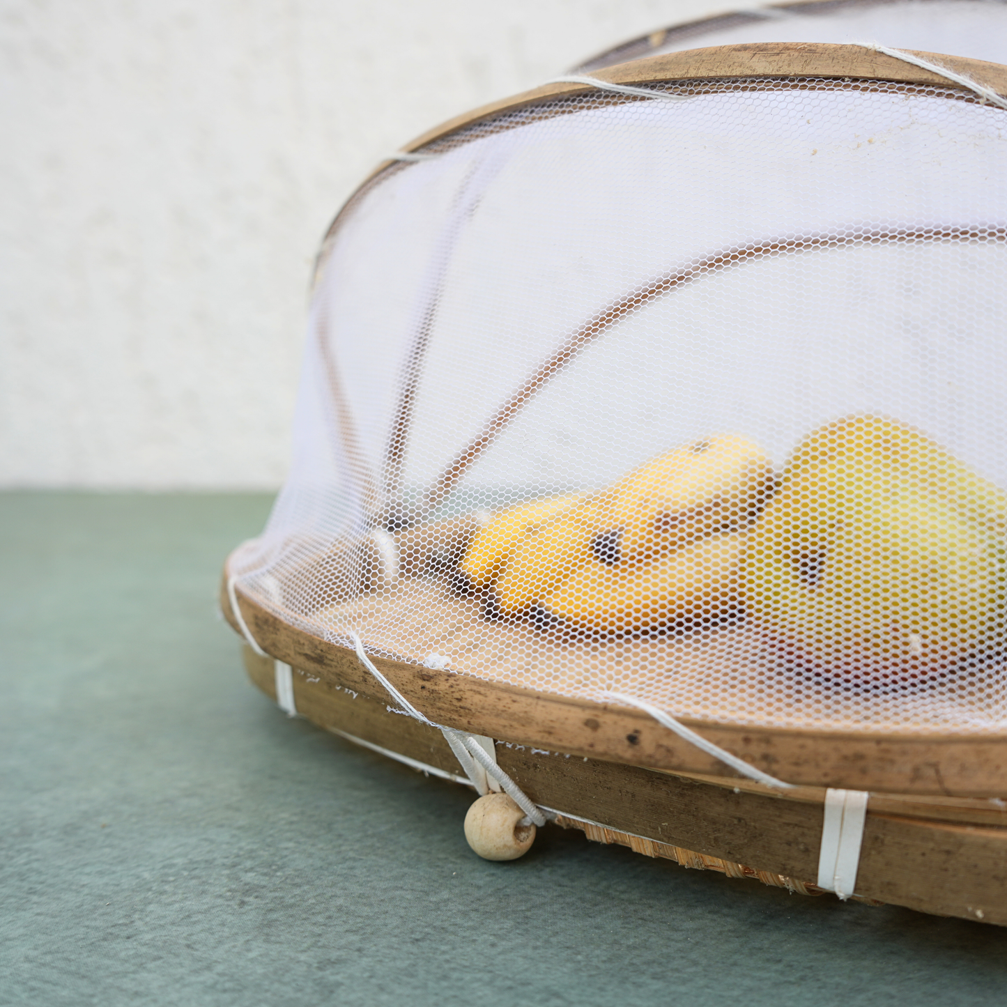 Mesh Fruit Cover- Small